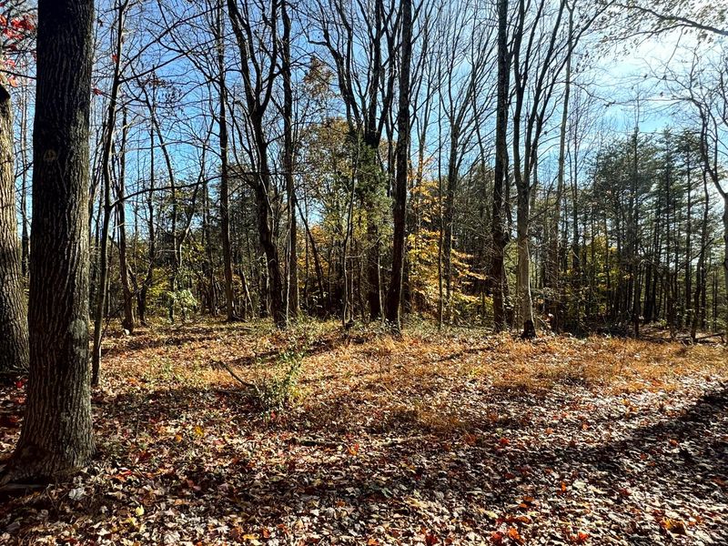 818 Campaign Poplar Road, Unit (Ponds Pop, Gallipolis, OH 45631 Photo 4