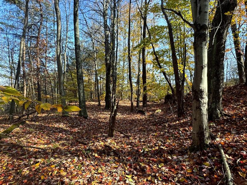 818 Campaign Poplar Road, Unit (Ponds Pop, Gallipolis, OH 45631 Photo 5