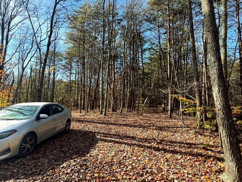 818 Campaign Poplar Road, Unit (Ponds Pop, Gallipolis, OH 45631 Photo 6