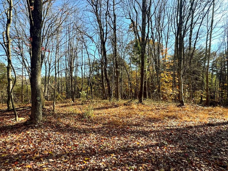 818 Campaign Poplar Road, Unit (Ponds Pop, Gallipolis, OH 45631 Photo 7