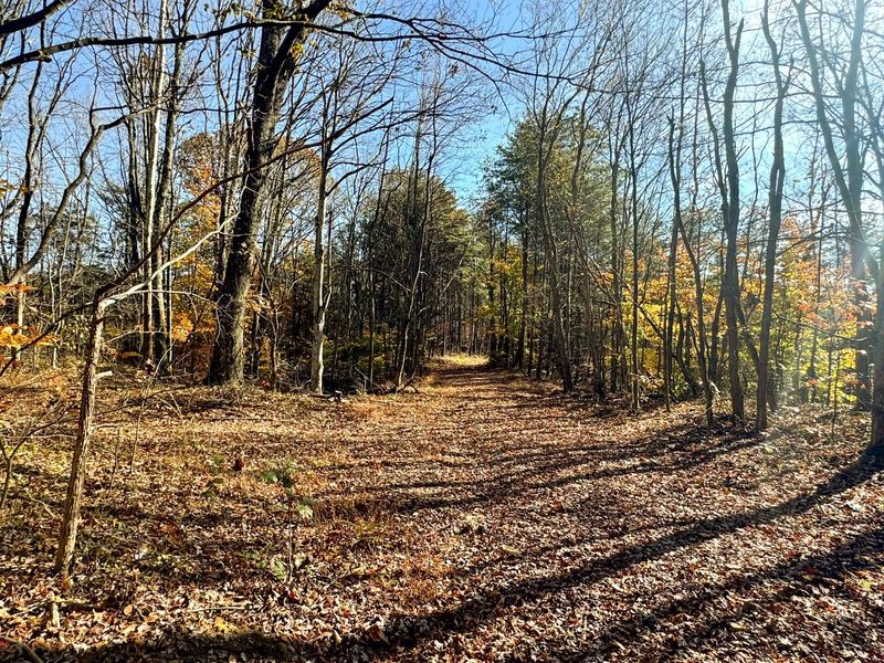 818 Campaign Poplar Road, Unit (Ponds Pop, Gallipolis, OH 45631 Photo 8