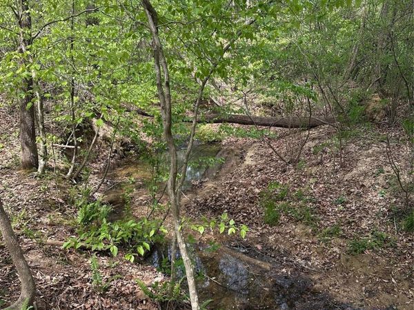 0 Will Boone Road , Mocksville, NC 27028