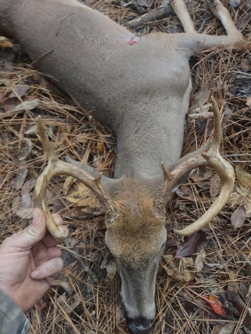 7850 Highway 6 West, Batesville, MS 38606 Main Photo