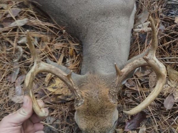 7850 Highway 6 West, Batesville, MS 38606