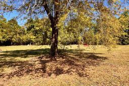 0 Shadow Lane  photo 4