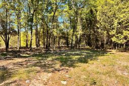 0 Shadow Lane  photo 4