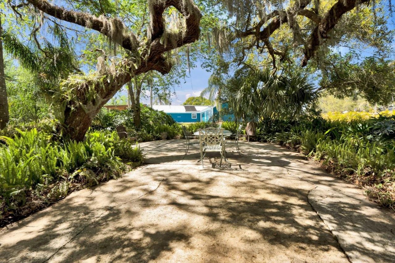 245 Country Circle Drive E, Port Orange, FL 32128 Photo