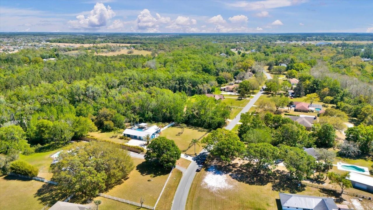 245 Country Circle Drive E, Port Orange, FL 32128 Photo