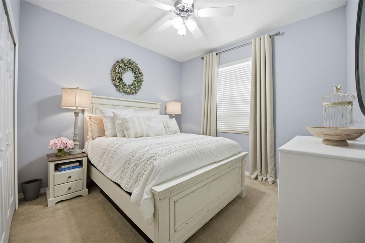 11623 Palmetto Pine Street, Riverview, FL 33569 Photo