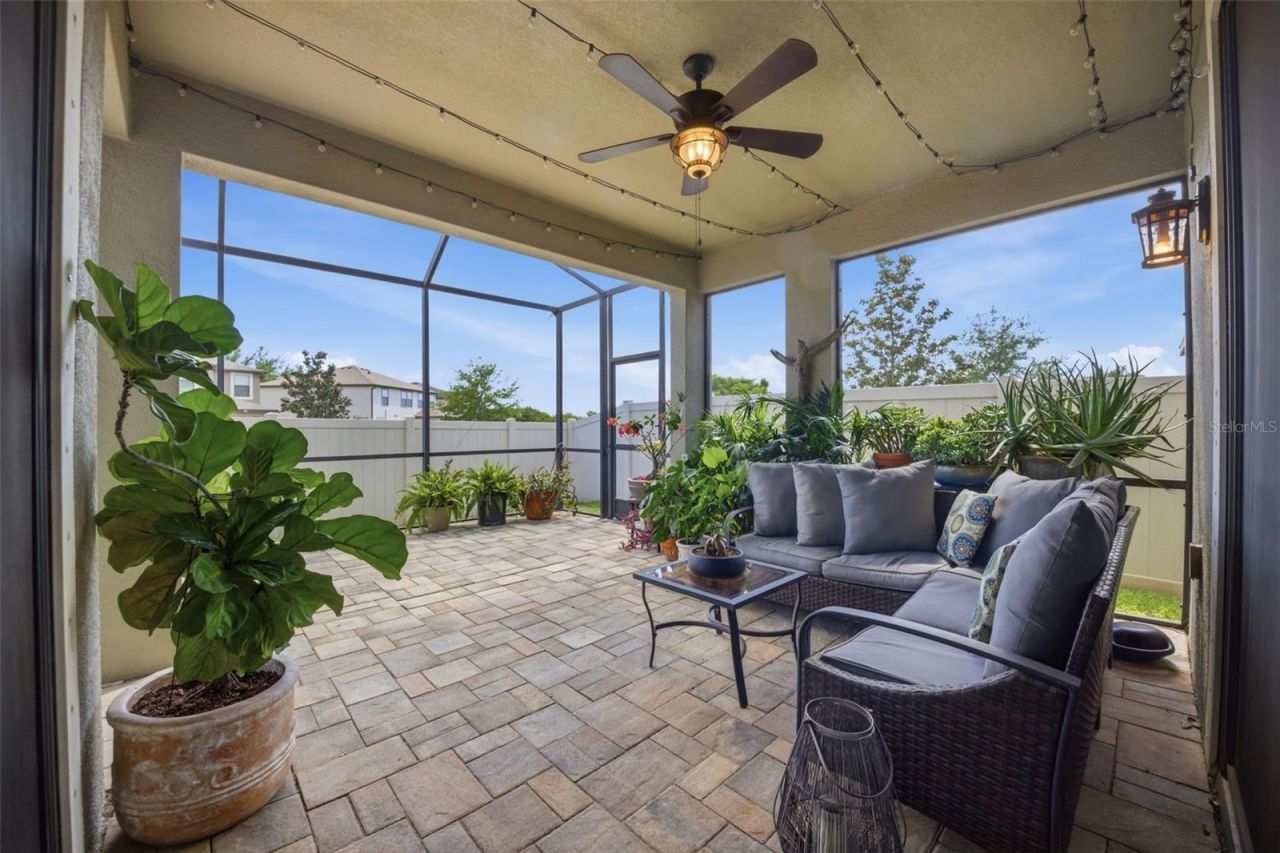 11623 Palmetto Pine Street, Riverview, FL 33569 Photo