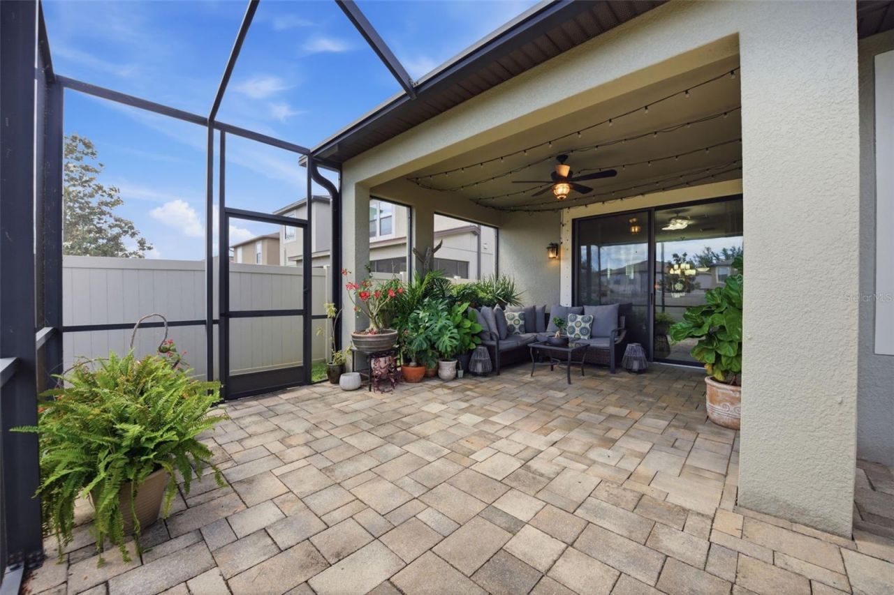 11623 Palmetto Pine Street, Riverview, FL 33569 Photo