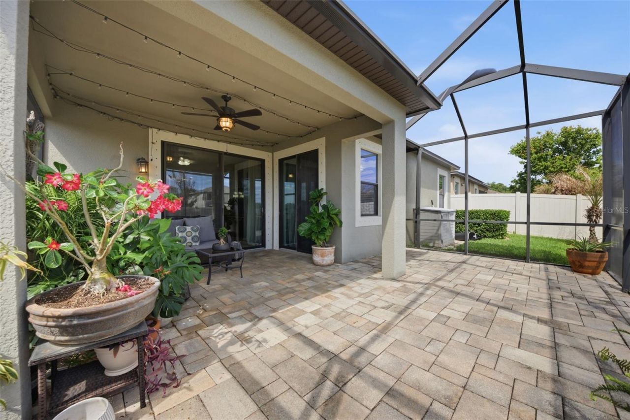 11623 Palmetto Pine Street, Riverview, FL 33569 Photo