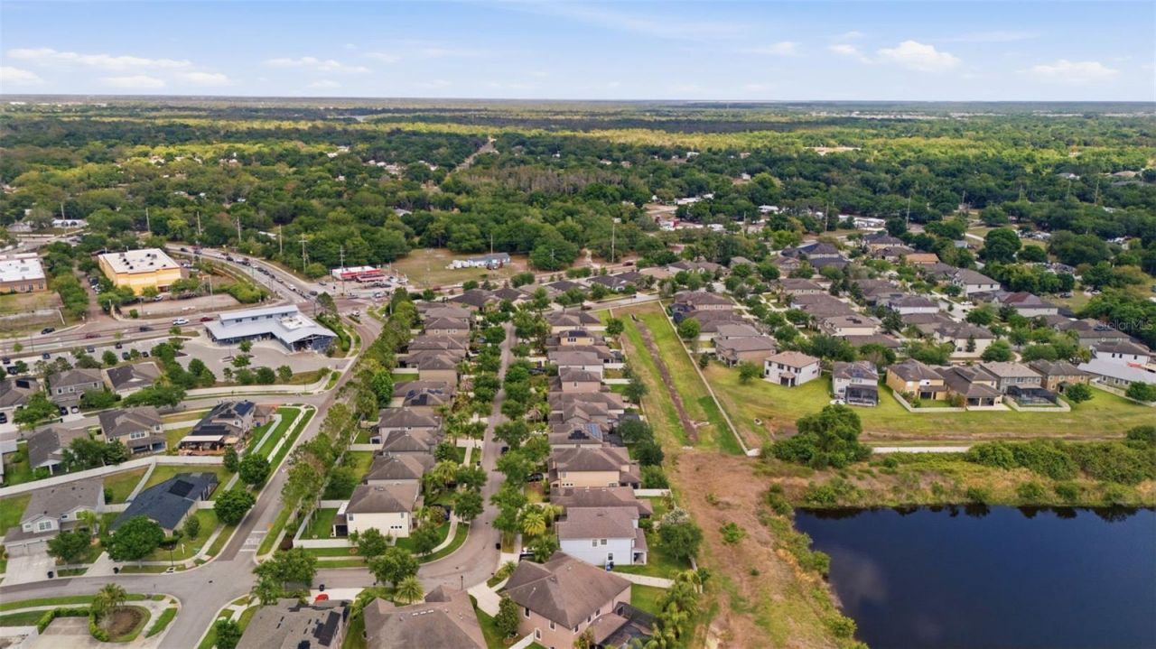 11623 Palmetto Pine Street, Riverview, FL 33569 Photo