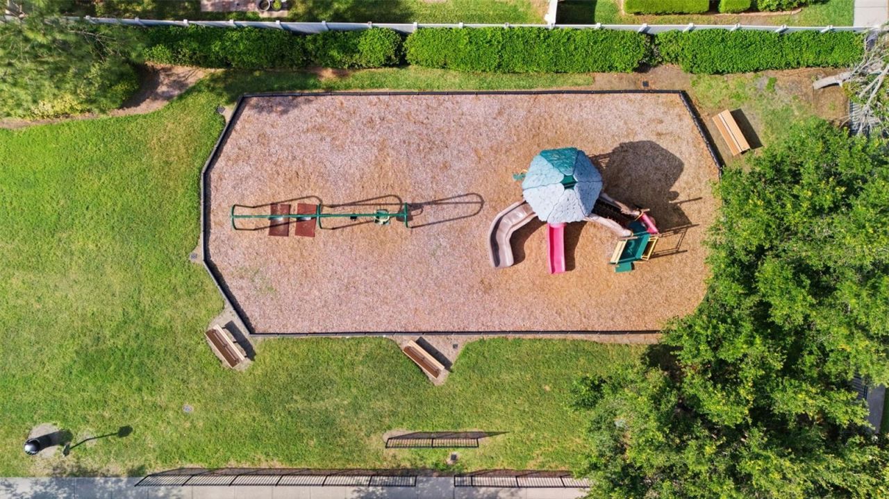 11623 Palmetto Pine Street, Riverview, FL 33569 Photo