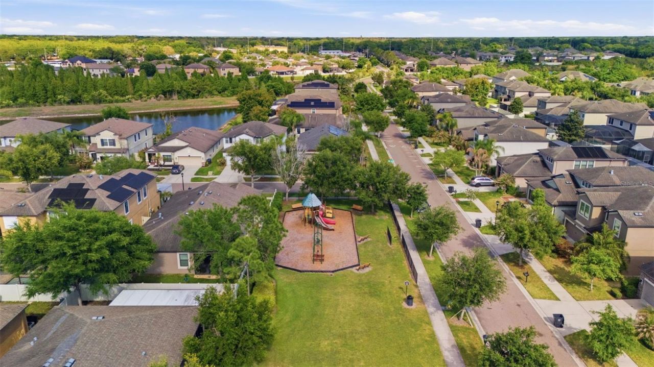 11623 Palmetto Pine Street, Riverview, FL 33569 Photo