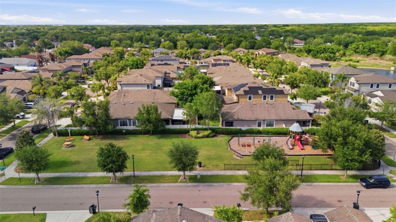 11623 Palmetto Pine Street, Riverview, FL 33569 Photo