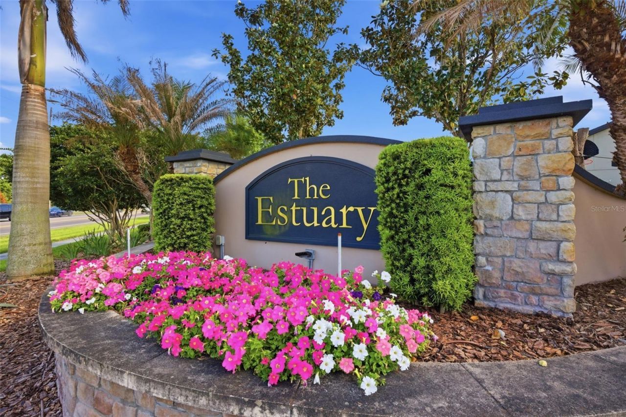 11623 Palmetto Pine Street, Riverview, FL 33569 Photo