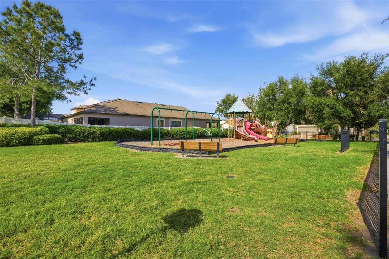 11623 Palmetto Pine Street, Riverview, FL 33569 Photo