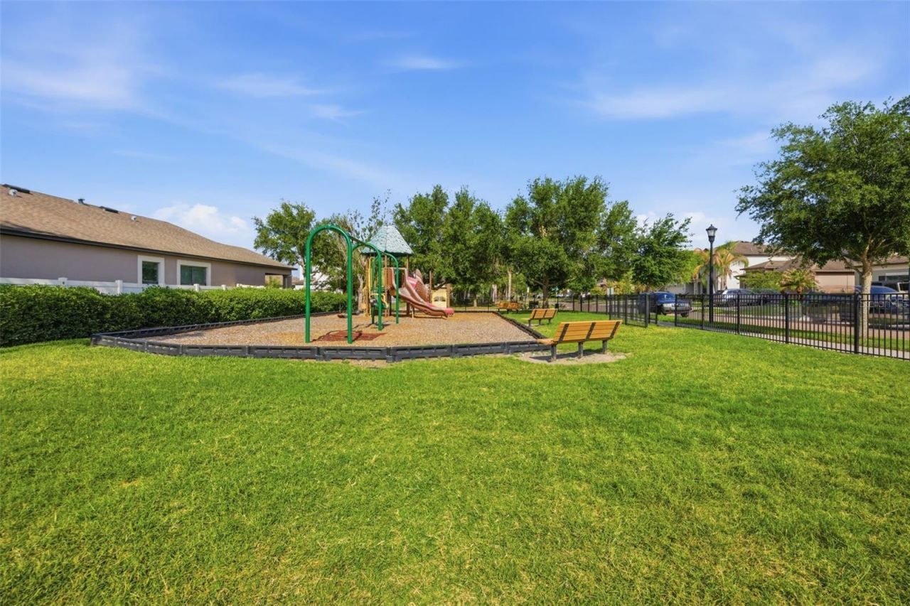 11623 Palmetto Pine Street, Riverview, FL 33569 Photo