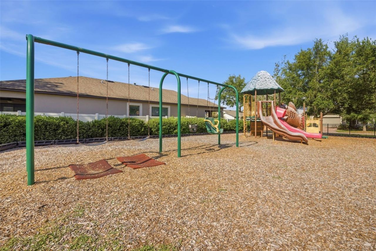 11623 Palmetto Pine Street, Riverview, FL 33569 Photo