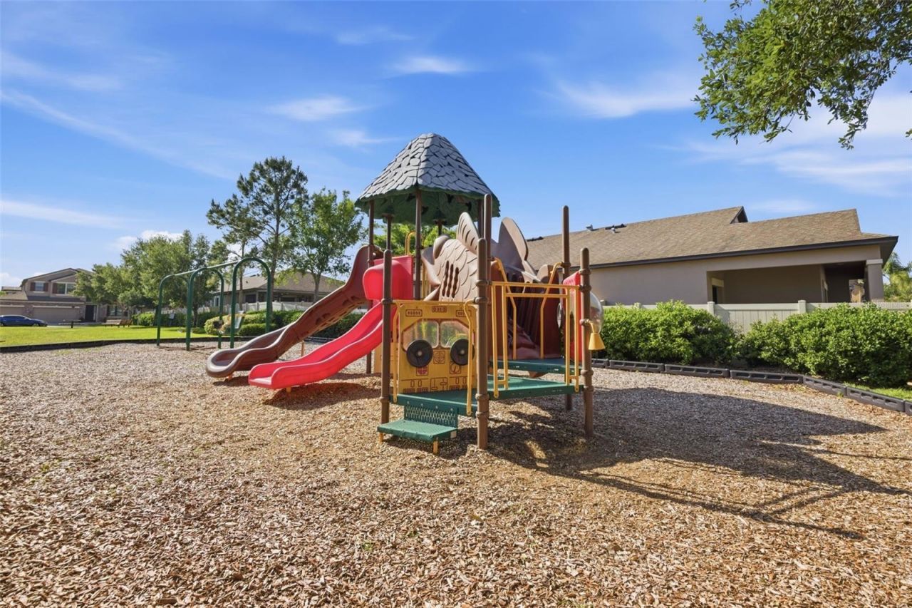 11623 Palmetto Pine Street, Riverview, FL 33569 Photo