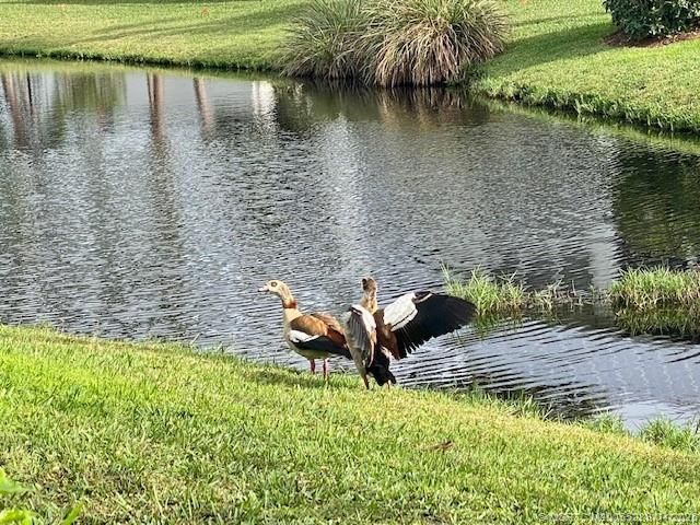 2929 SE Ocean Boulevard, Unit 113-2, Stuart, FL 34996 Photo