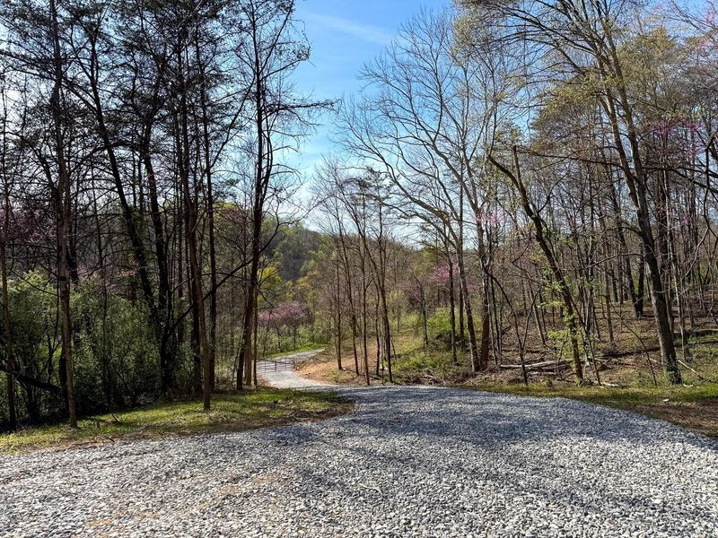 0 Little Kyger Road, Unit (Little Ky, Cheshire, OH 45620 Photo 11