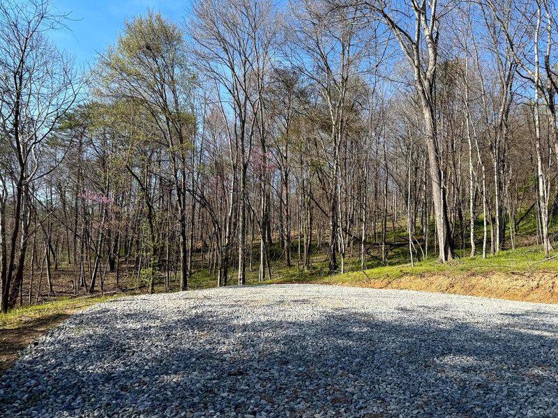 0 Little Kyger Road, Unit (Little Ky, Cheshire, OH 45620 Photo 12