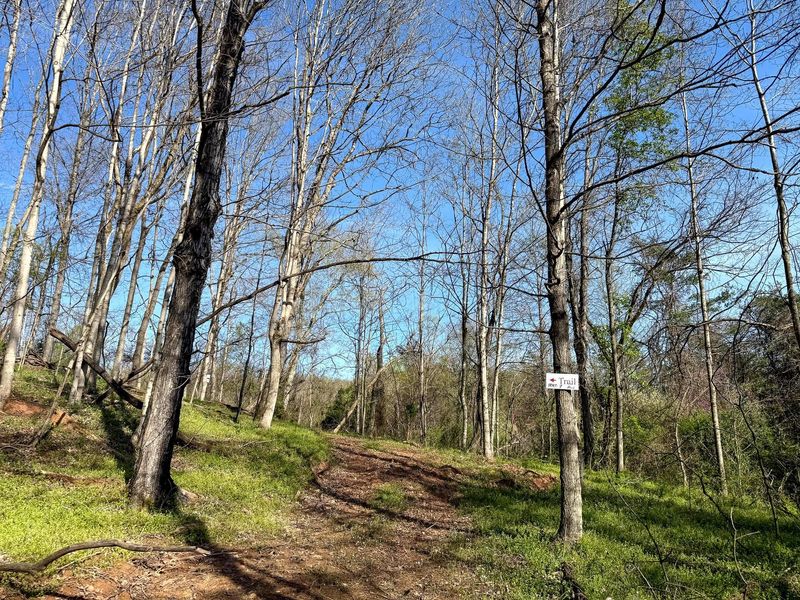 0 Little Kyger Road, Unit (Little Ky, Cheshire, OH 45620 Photo 14