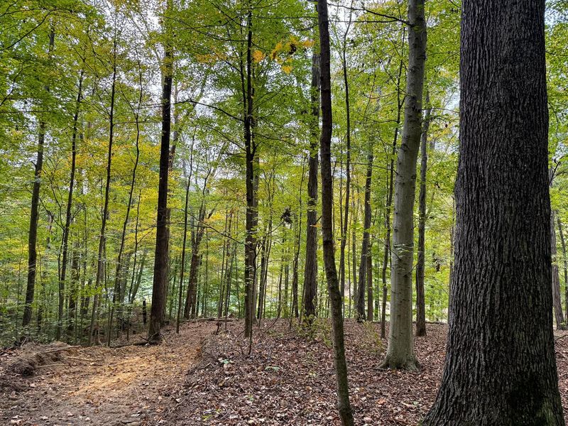 0 Little Kyger Road, Unit (Little Ky, Cheshire, OH 45620 Photo 15