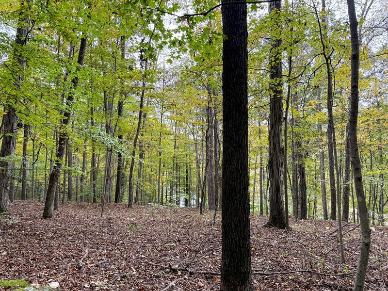 0 Little Kyger Road, Unit (Little Ky, Cheshire, OH 45620 Photo 16