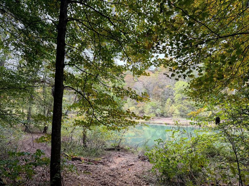 0 Little Kyger Road, Unit (Little Ky, Cheshire, OH 45620 Photo 17