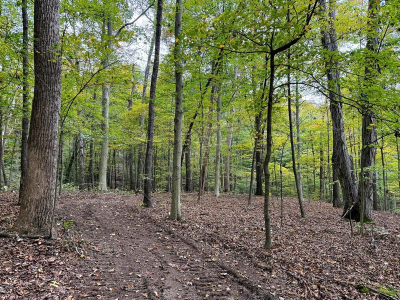 0 Little Kyger Road, Unit (Little Ky, Cheshire, OH 45620 Photo 2