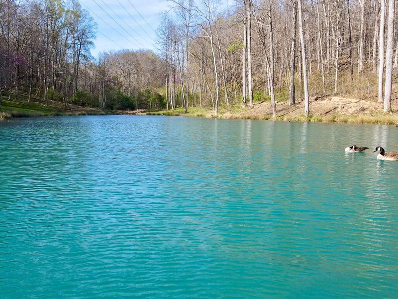 0 Little Kyger Road, Unit (Little Ky, Cheshire, OH 45620 Photo 22