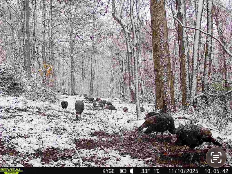 0 Little Kyger Road, Unit (Little Ky, Cheshire, OH 45620 Photo 24