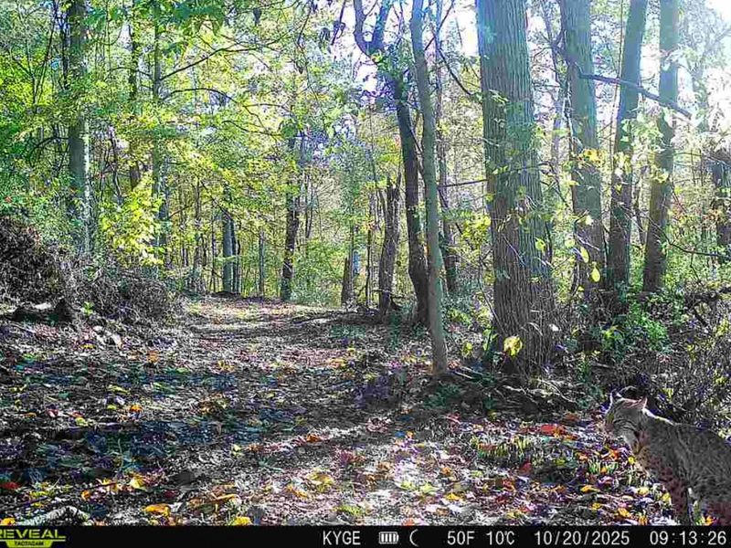 0 Little Kyger Road, Unit (Little Ky, Cheshire, OH 45620 Photo 25