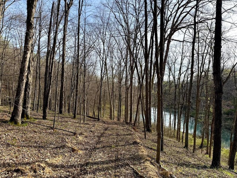 0 Little Kyger Road, Unit (Little Ky, Cheshire, OH 45620 Photo 27