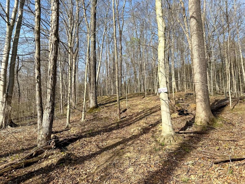 0 Little Kyger Road, Unit (Little Ky, Cheshire, OH 45620 Photo 28