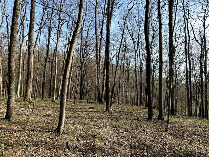 0 Little Kyger Road, Unit (Little Ky, Cheshire, OH 45620 Photo 29