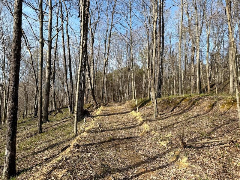 0 Little Kyger Road, Unit (Little Ky, Cheshire, OH 45620 Photo 30