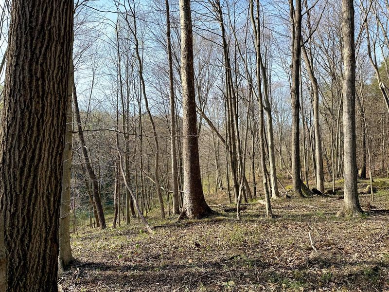 0 Little Kyger Road, Unit (Little Ky, Cheshire, OH 45620 Photo 31