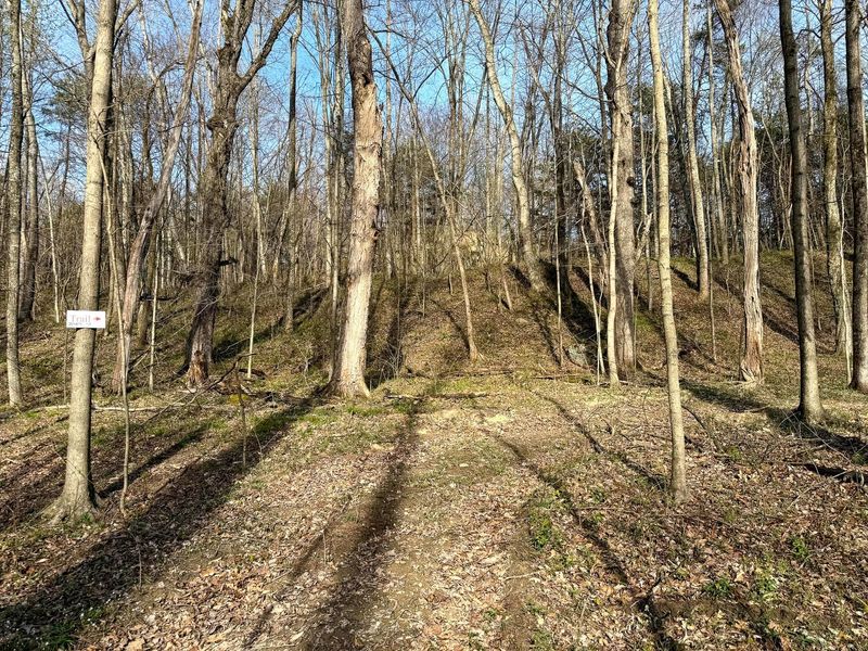 0 Little Kyger Road, Unit (Little Ky, Cheshire, OH 45620 Photo 32