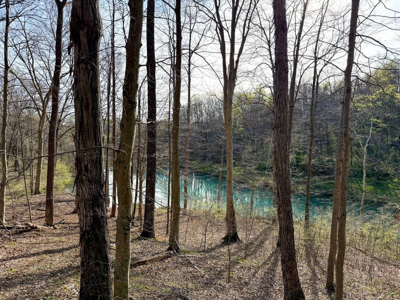 0 Little Kyger Road, Unit (Little Ky, Cheshire, OH 45620 Photo 33