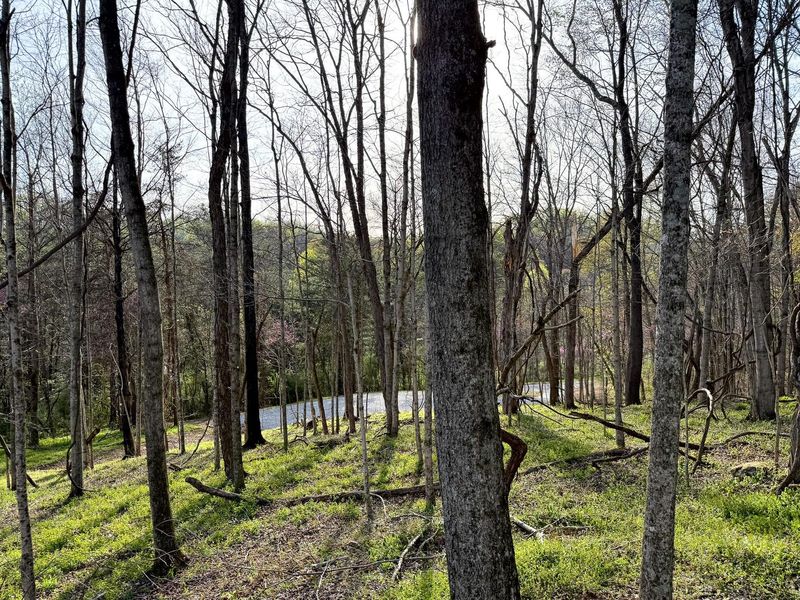 0 Little Kyger Road, Unit (Little Ky, Cheshire, OH 45620 Photo 34