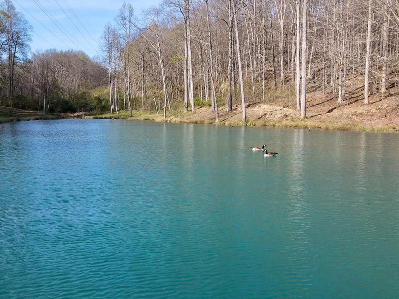 0 Little Kyger Road, Unit (Little Ky, Cheshire, OH 45620 Photo 39