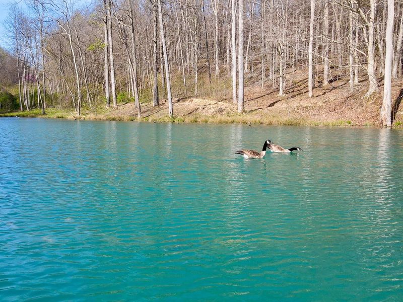 0 Little Kyger Road, Unit (Little Ky, Cheshire, OH 45620 Photo 5