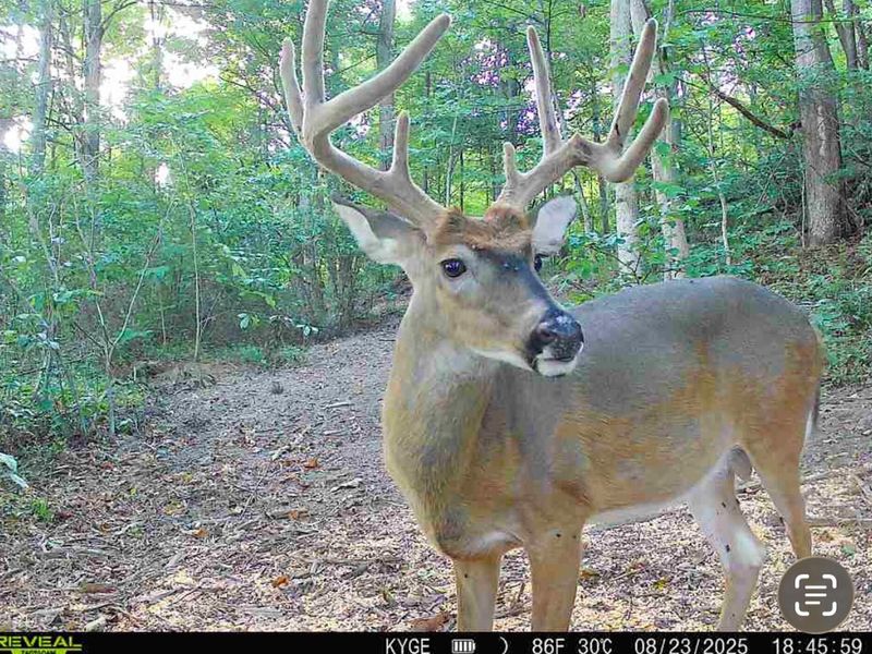 0 Little Kyger Road, Unit (Little Ky, Cheshire, OH 45620 Photo 7