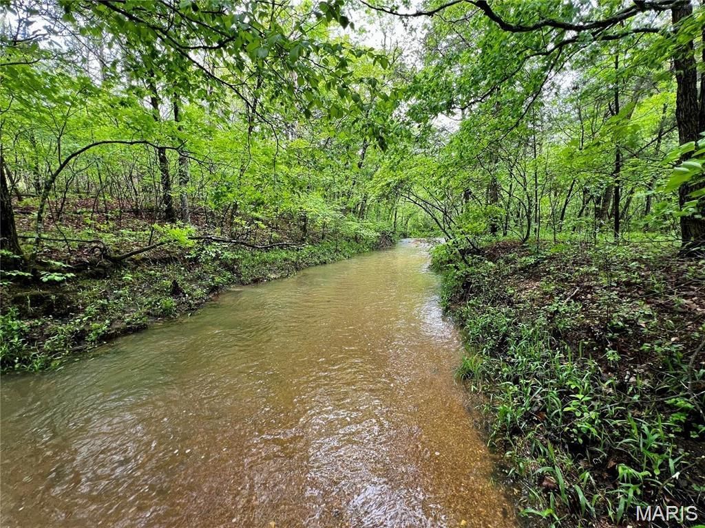 3 Furnace Creek Road, Potosi, MO 63664 Main Photo