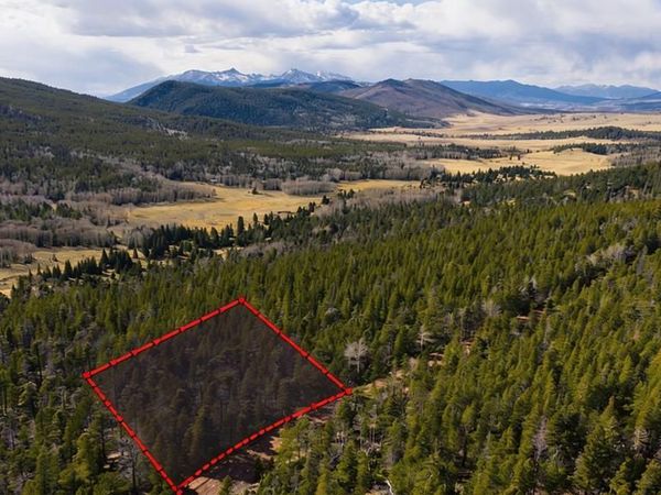 TBD Lot 3170 Purnell Ln, Fort Garland, CO 81133