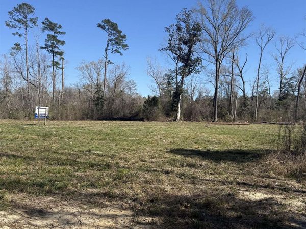 Lot 4 Music Ln, Springfield, LA 70462